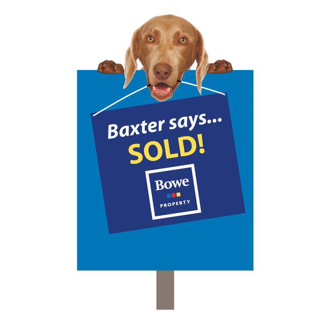 Custom Shape Estate Agent Sign