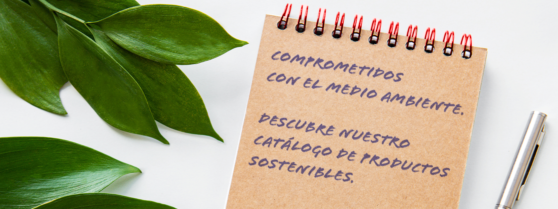 Comprometidos