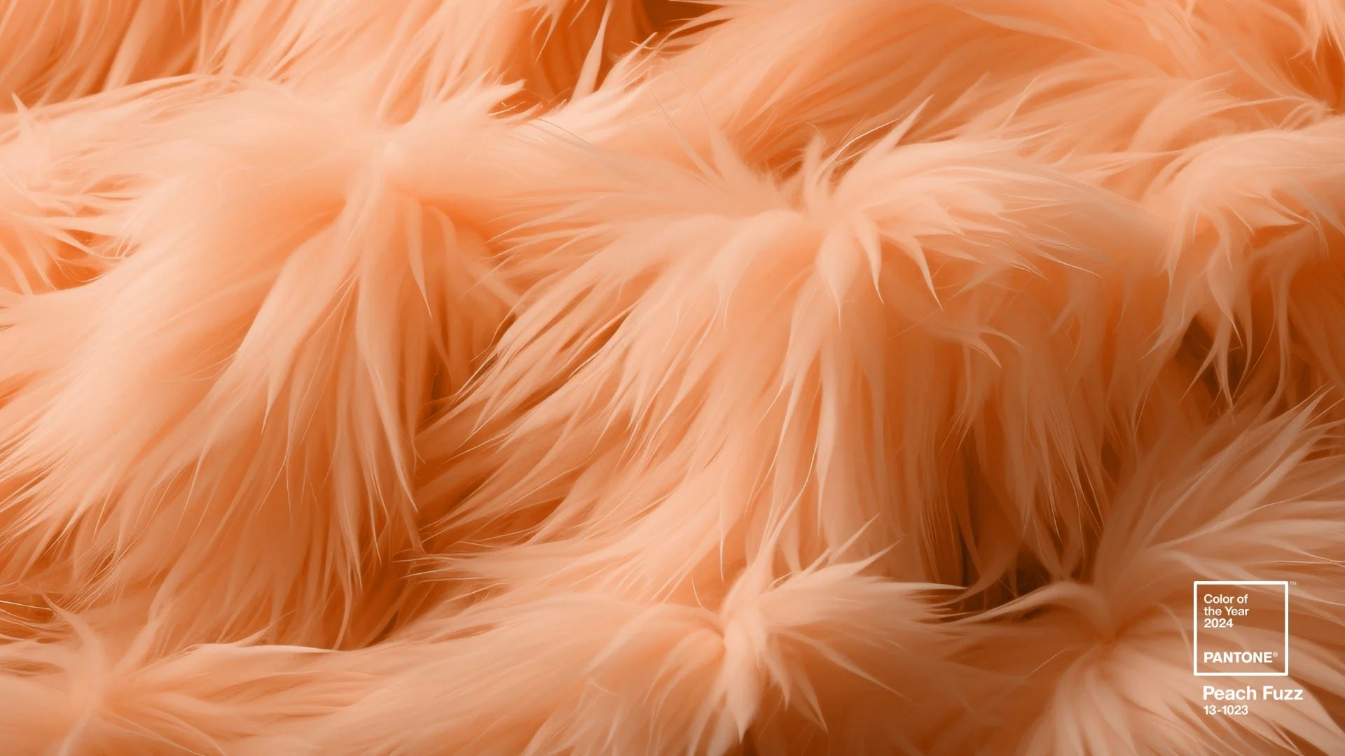 peach fuzz 13-1023