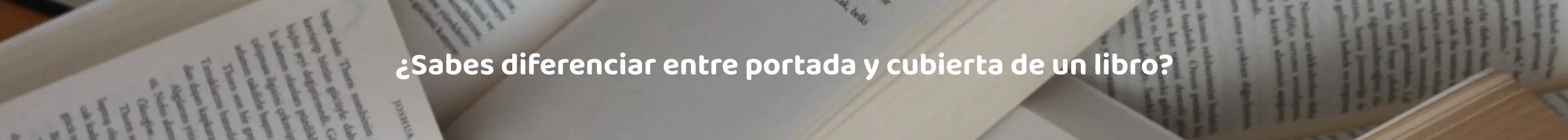 Diferenças entre capa e contracapa