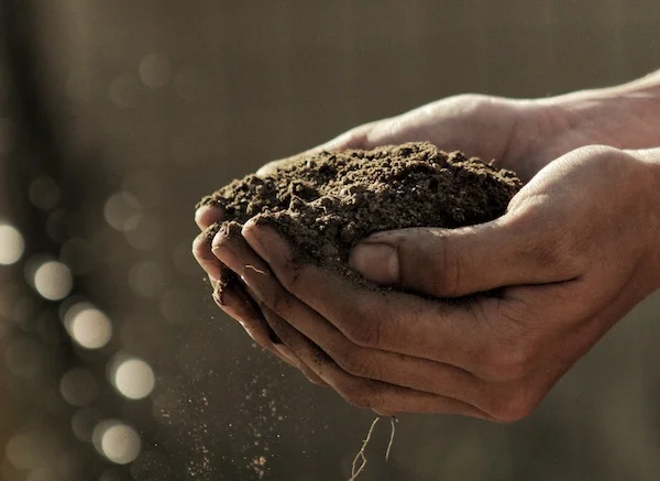 imprenta-ecológica-y-sostenible-en-Espana- printai