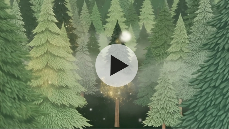 DIGITAL VIDEO BOSQUE