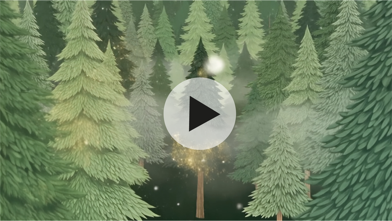 DIGITAL VIDEO BOSQUE