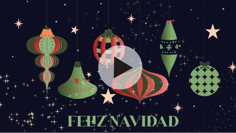 DIGITAL VIDEO FESTIVIDAD