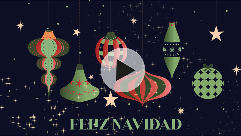 DIGITAL VIDEO FESTIVIDAD