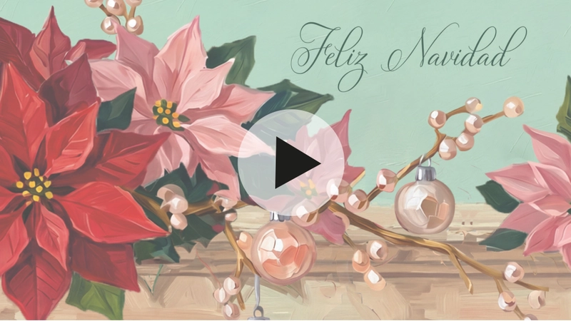 DIGITAL VIDEO FLOR DE NAVIDAD