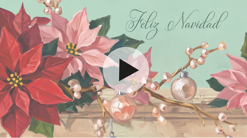 DIGITAL VIDEO FLOR DE NAVIDAD