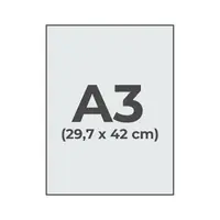 A3 (29,7x42cm)