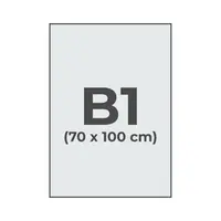 DIN B1 (70x100cm)