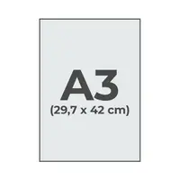 A3 - 29,7 x 42 cm