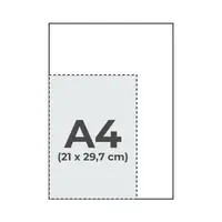 A4 - 21 x 29,7 cm