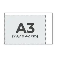 42 x 29,7 cm