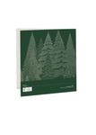 Bosque 2
