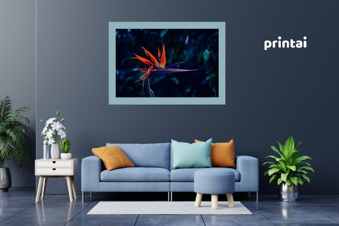 Papel semifotográfico Papel semi-fotográfico para impresión de cartelería en printai