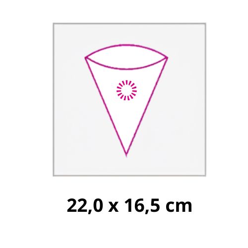 22 x 16,5 cm