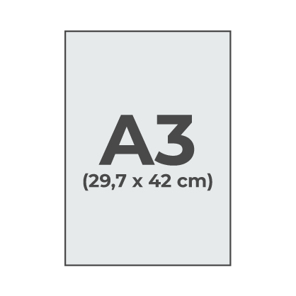 A3 - 29.7 x 42 cm