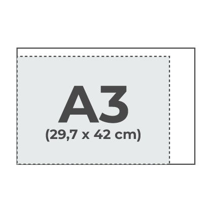 42 x 29,7 cm