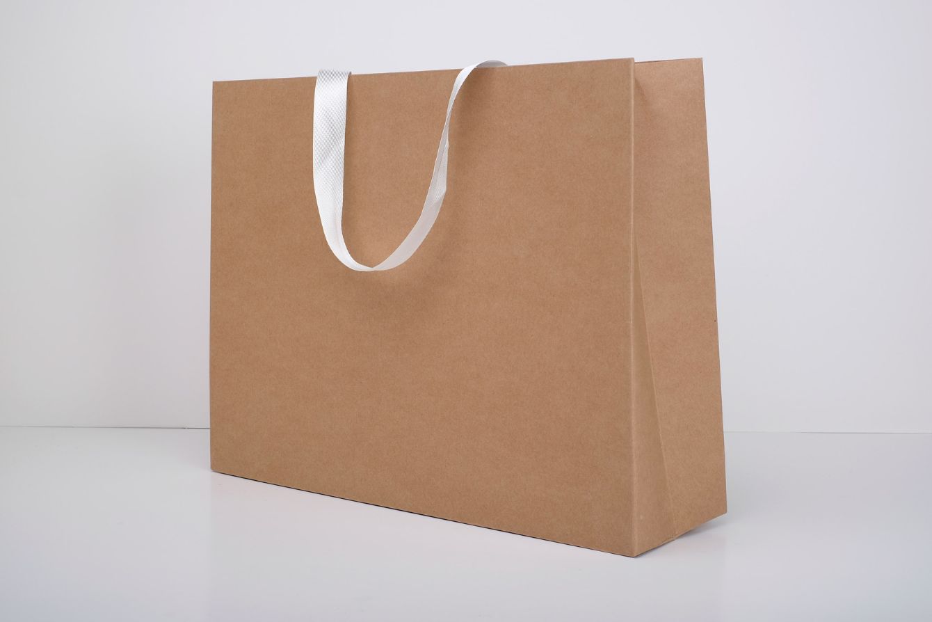 bolsa kraft asa blanca