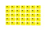 amarillo fluor