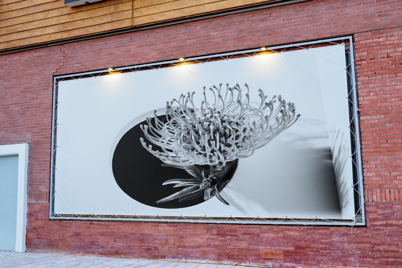 Toile Frontlit 510gr 1