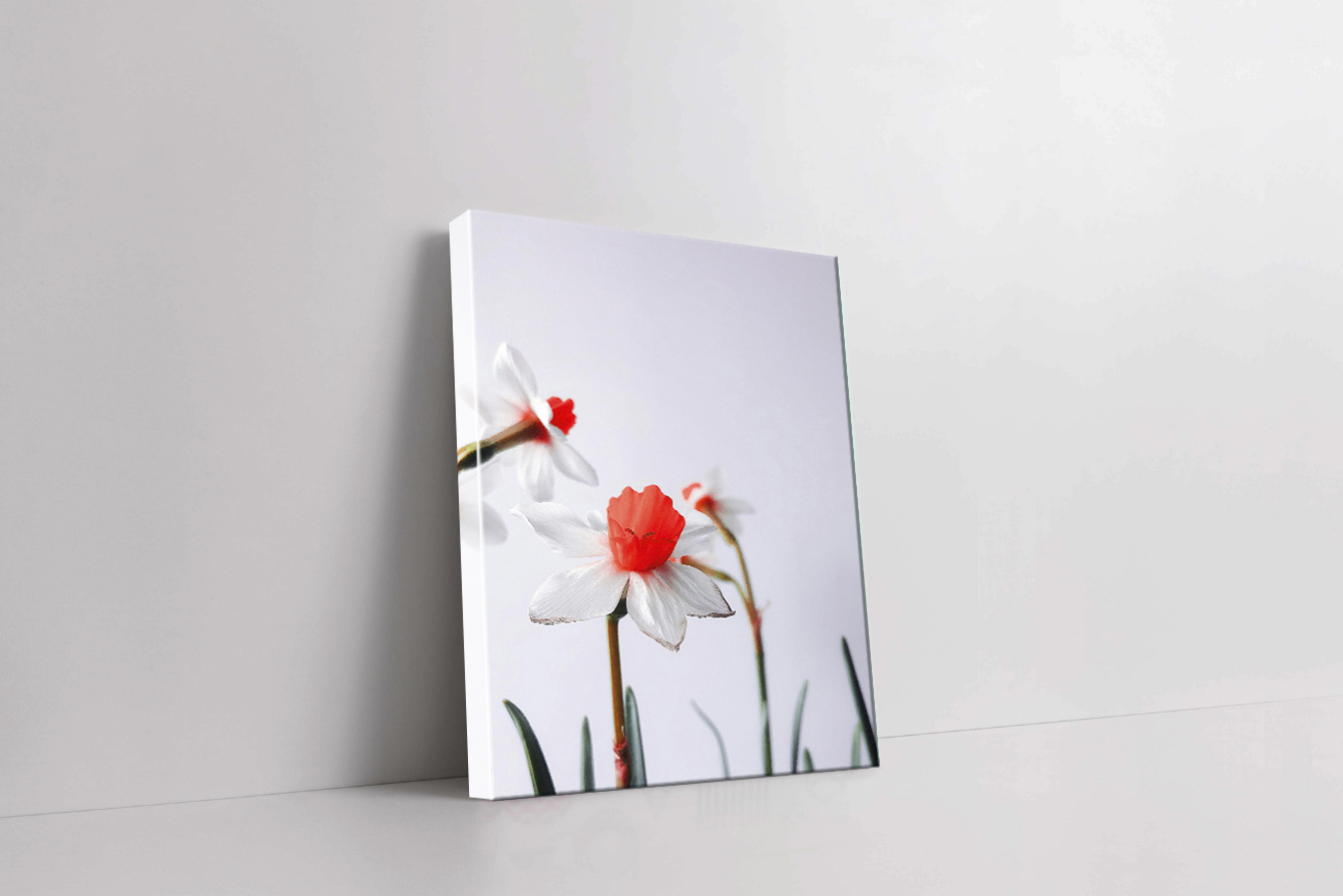Canva o lienzo (sin bastidor) 3