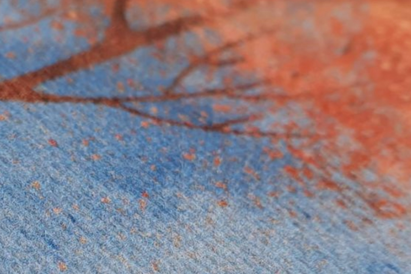 Canva o lienzo (sin bastidor) 2
