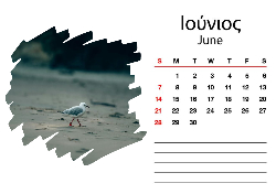 Α5 13 ΣΕΛΙΔΕΣ