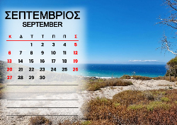 2026 Dino Calendar