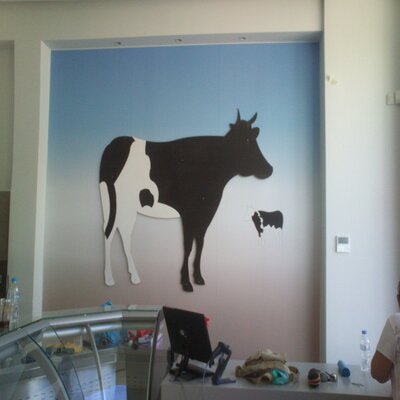 DIgital print on Forex