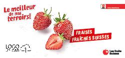 Fraises fraîches Suisses