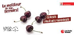 Cerises fraîches Vaudoises