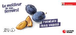 Pruneaux frais Vaudois
