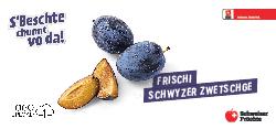 Frischi Schwyzer Zwetschge