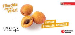 Frischi St.Galler Aprikose