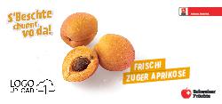 Frischi Zuger Aprikose