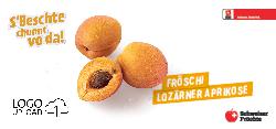Fröschi Lozärner Aprikose