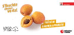 Früschi Bärner Aprikose