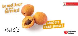 Abricots frais Suisses