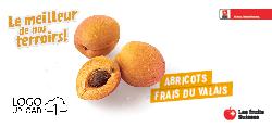 Abricots frais du Valais