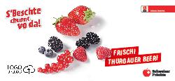 Frischi Thurgauer Beeri