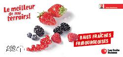Baies fraîches Fribourgeoises
