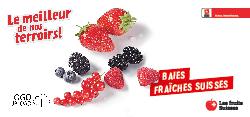 Baies fraîches Suisses