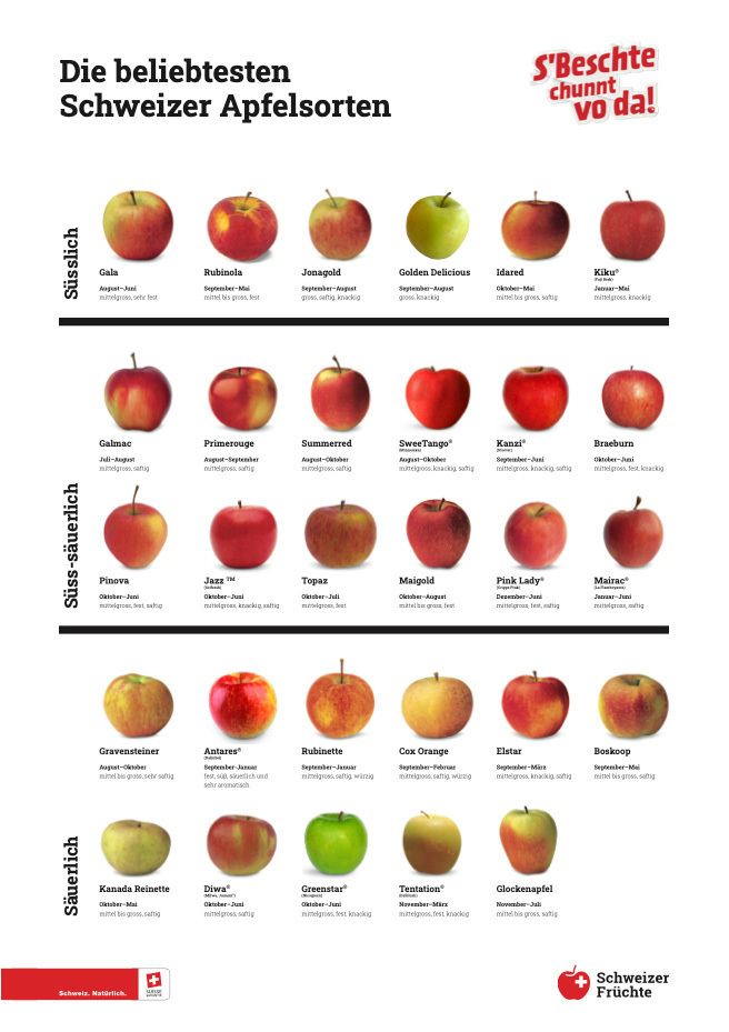 Die beliebtesten Apfelsorten