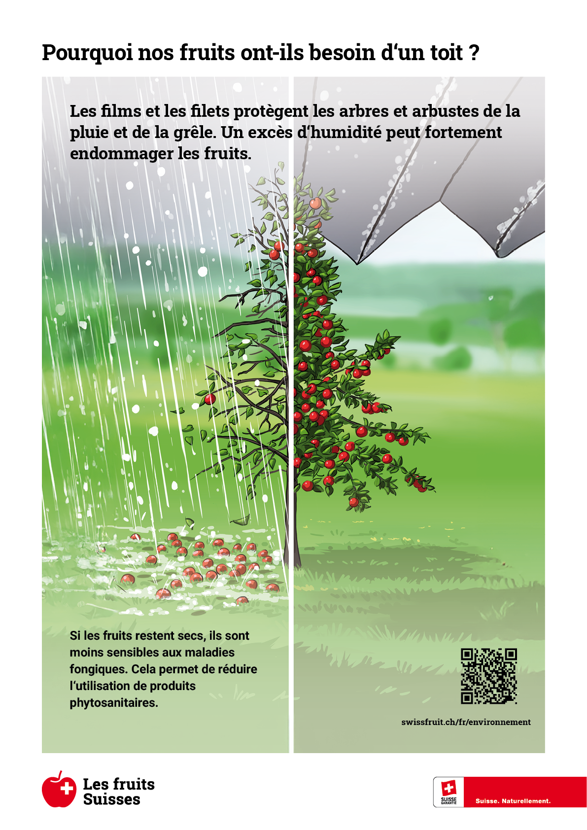 Panneau de bordure de champ Couverture