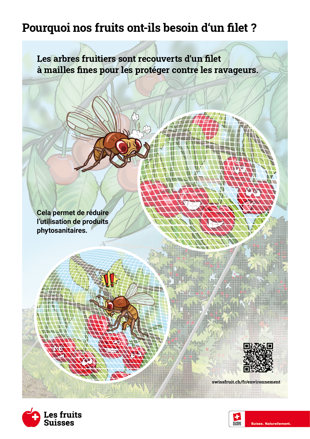 Panneau de bordure de champ Filets