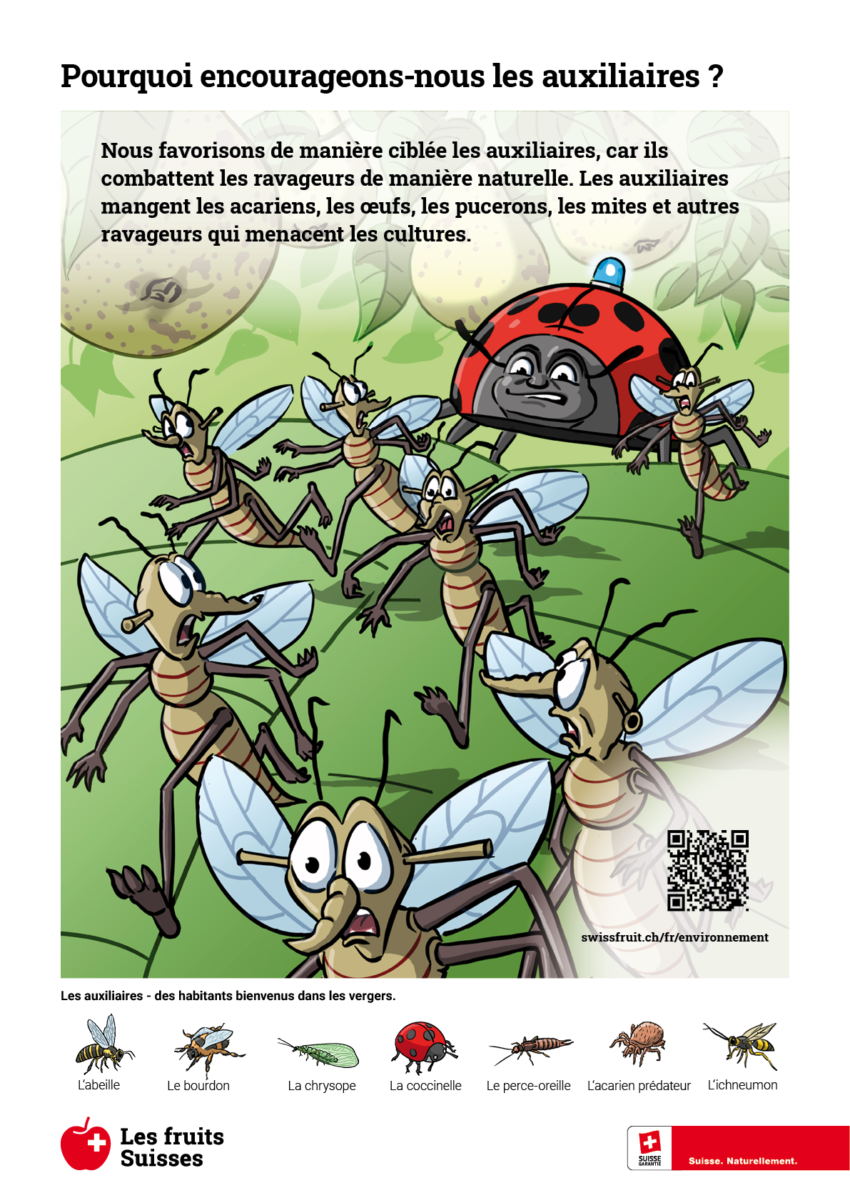 Panneau de bordure de champ Insectes bénéfiques
