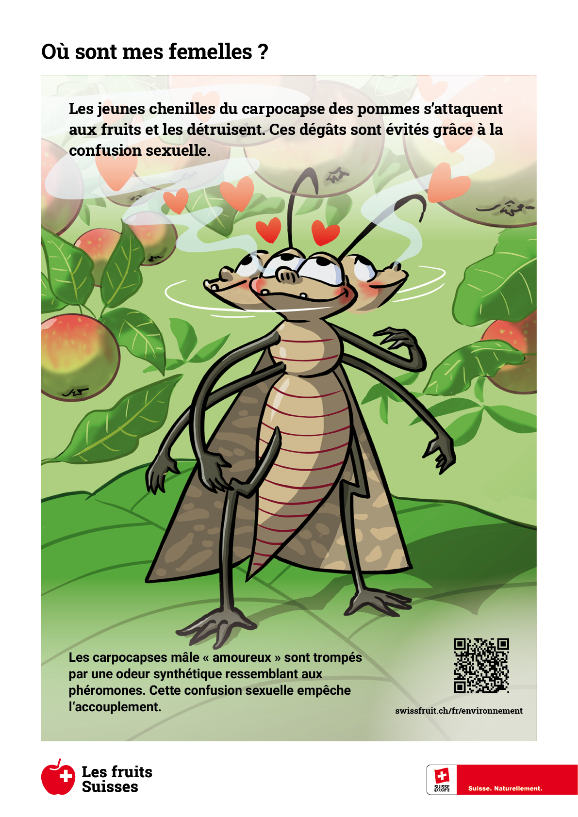 Panneau de bordure de champ Confusion