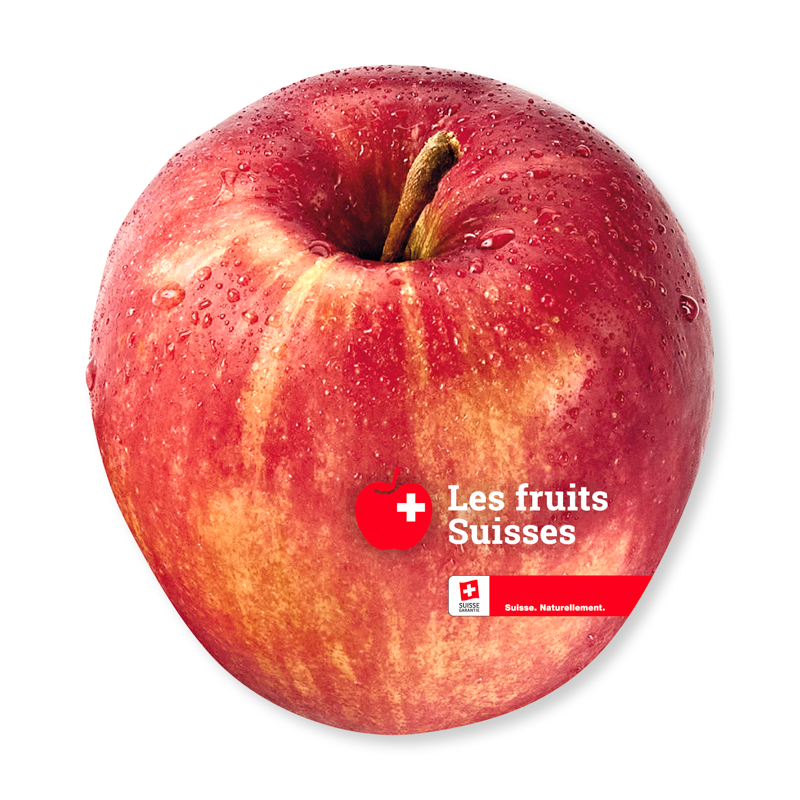 Pomme https://d1x3eomzsc6lfz.cloudfront.net/swissfrui/images/product/Rotair_Apfel_FR_04154902202311.png