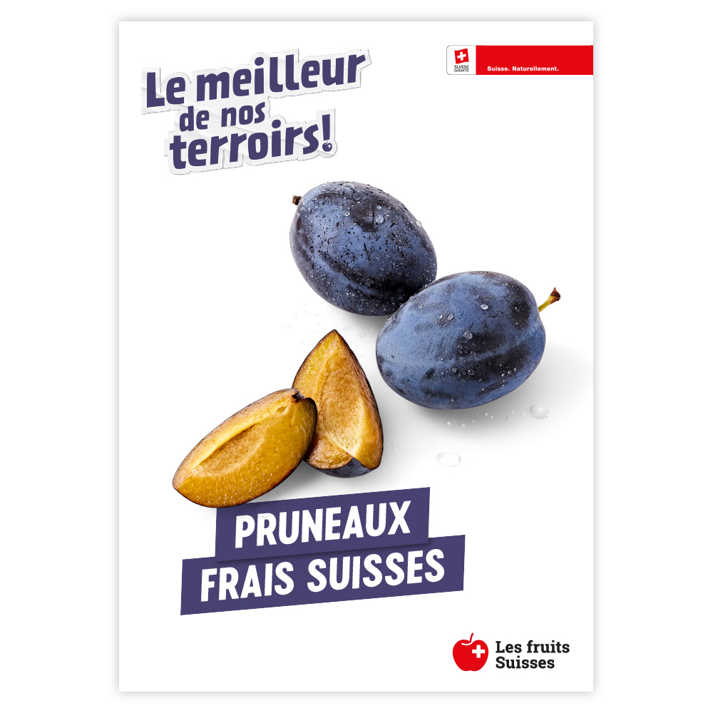 https://d1x3eomzsc6lfz.cloudfront.net/swissfrui/images/product/WebShop_sov_Plakat_1000x1000_zwetschgen_f_Kopie_03024702202311.png