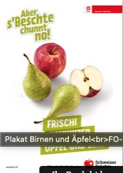Affiches Fruits